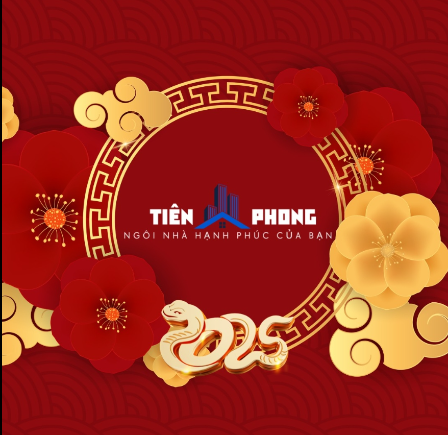 lĩnh vực hoạt động
